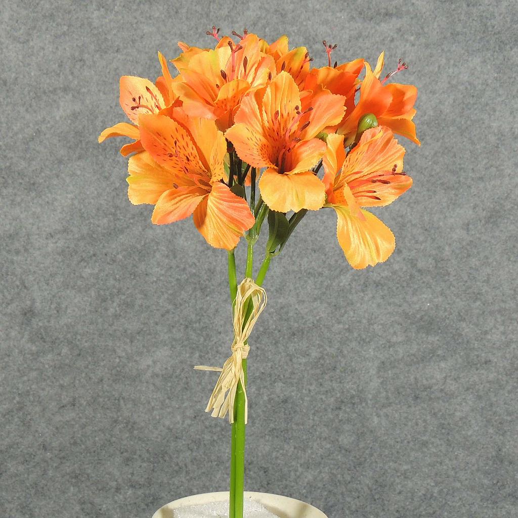 ALSTROMERIA BUNDLE W/RAFFIA TIE  ORANGE