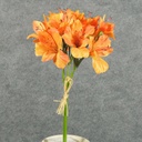 ALSTROMERIA BUNDLE W/RAFFIA TIE  ORANGE