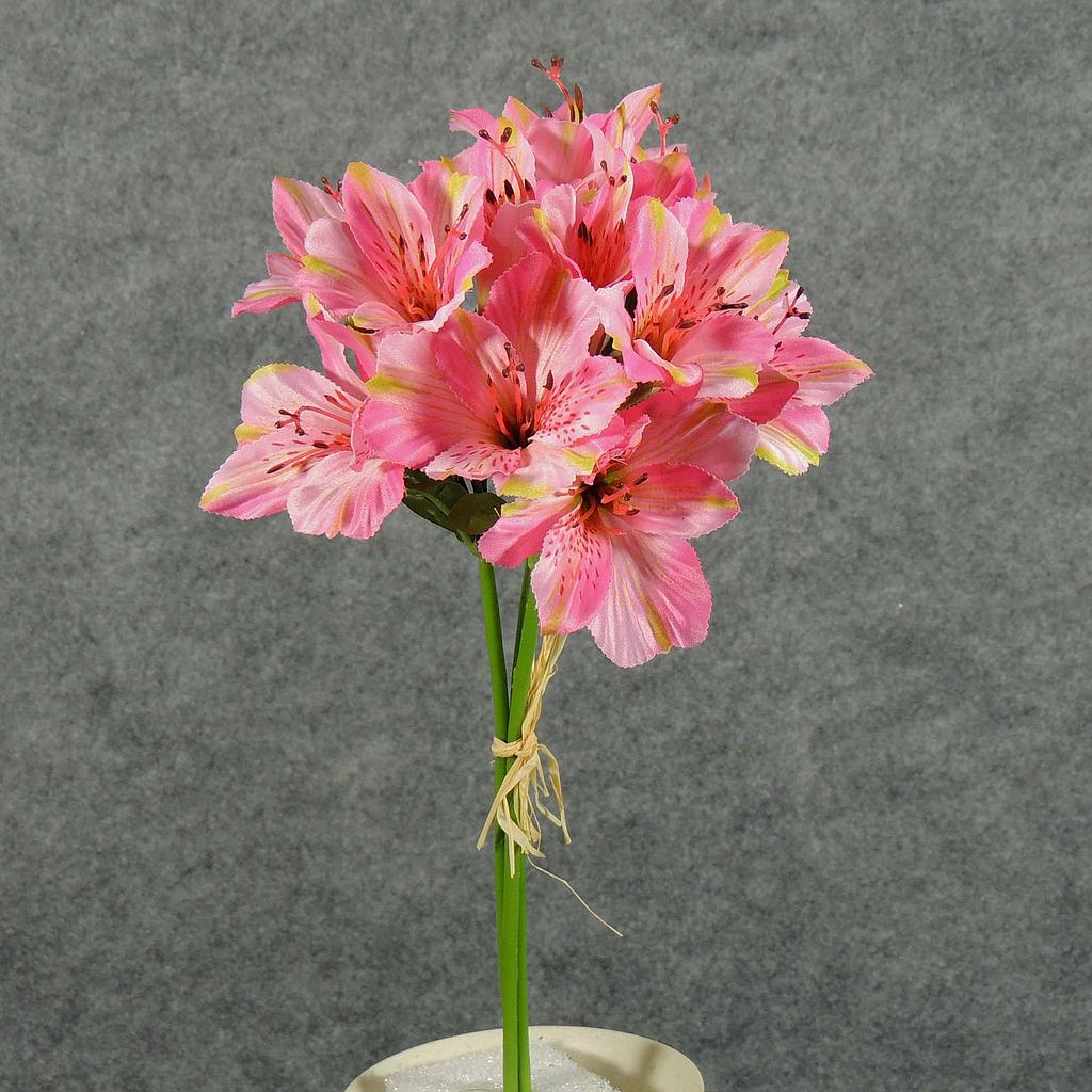 ALSTROMERIA BUNDLE W/RAFFIA TIE  PINK