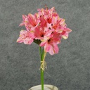 ALSTROMERIA BUNDLE W/RAFFIA TIE  PINK