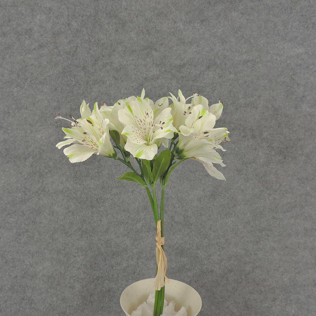 ALSTROMERIA BUNDLE W/RAFFIA TIE  WHITE
