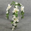 CYMBIDIUM/STEPHANOTIS SPRAY X3