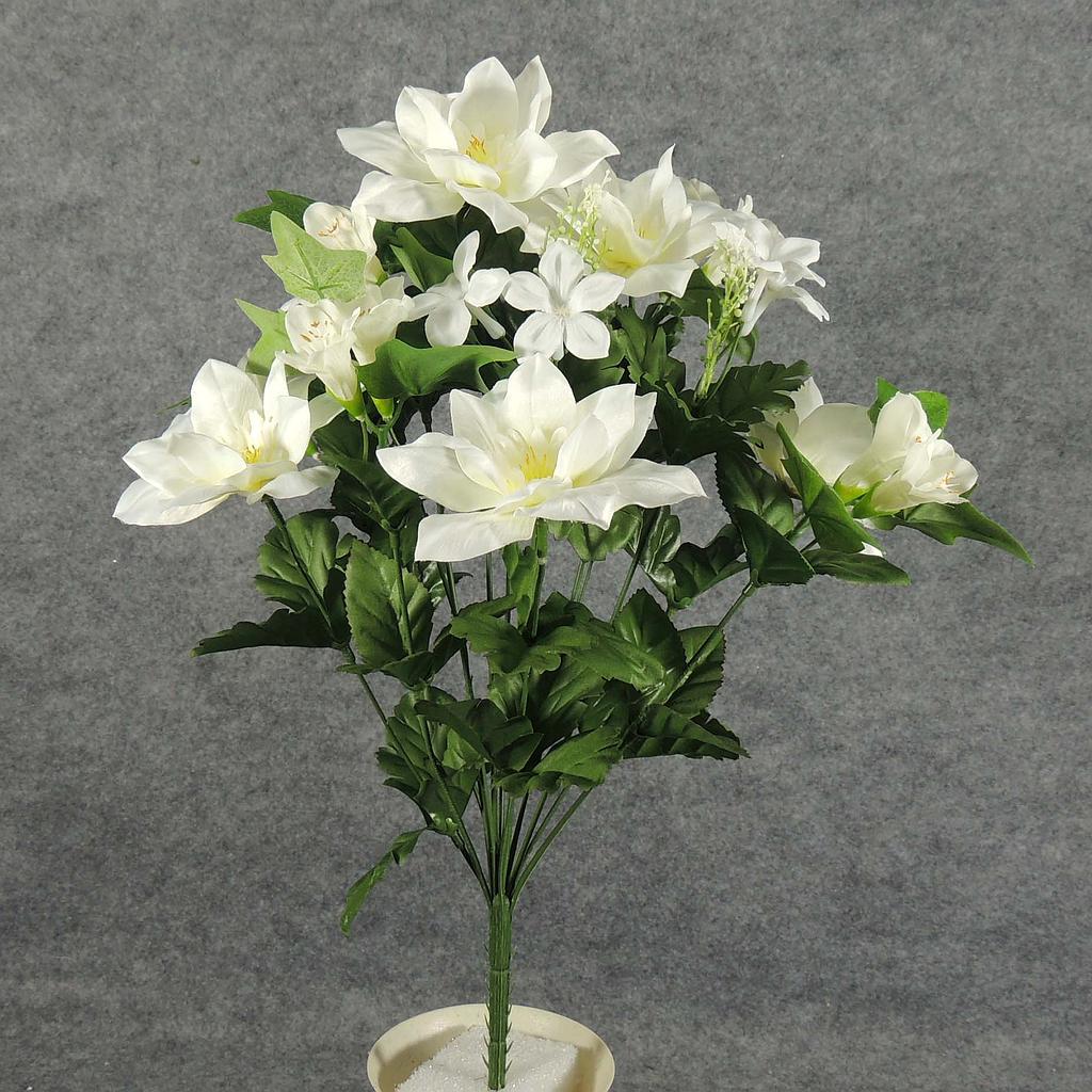 CLEMATIS/STEPHANOTIS BUSH X14