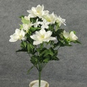CLEMATIS/STEPHANOTIS BUSH X14
