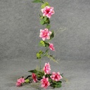 GARLAND 66&quot; CLEMATIS/EUCALYPTUS  BEAUTY