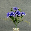 CLEMATIS/EUCALYPTUS BUSH X7  LAVENDER