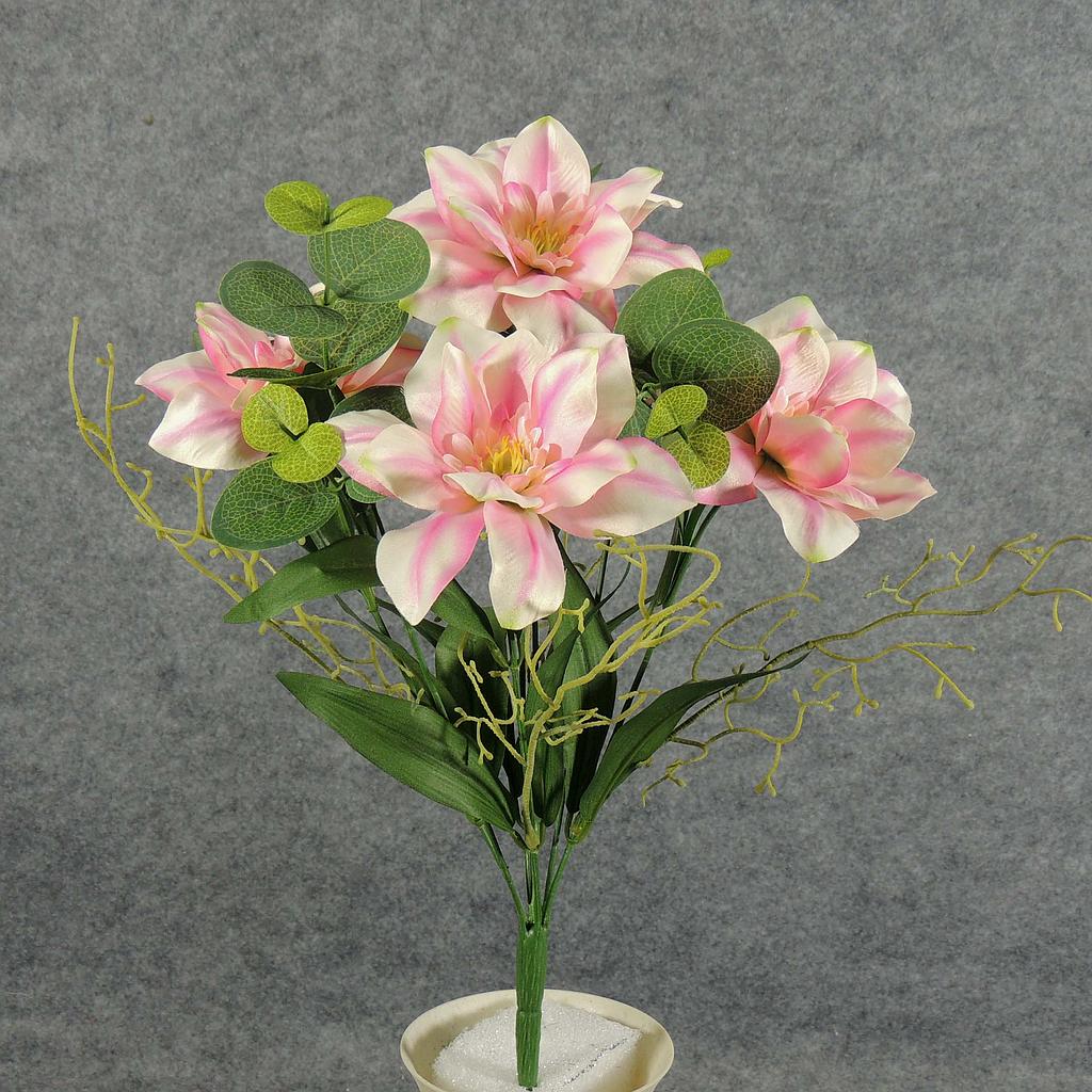 CLEMATIS/EUCALYPTUS BUSH X7  PEACH