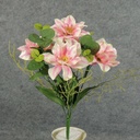 CLEMATIS/EUCALYPTUS BUSH X7  PEACH