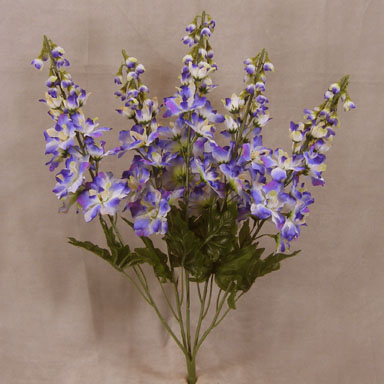 DELPHINIUM BUSH X5  PURPLE