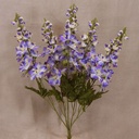 DELPHINIUM BUSH X5  PURPLE