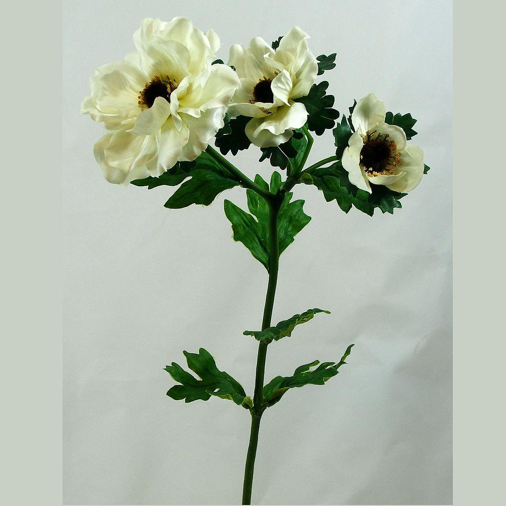 POPPY SPRAY X3 SATIN  CREAM (6/BAG)