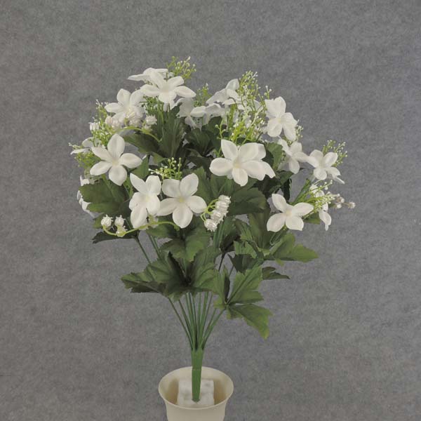 19" STEPHANOTIS/L.O.V. BUSH x18