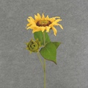 20" SUNFLOWER STEM 6" BLM + BUD