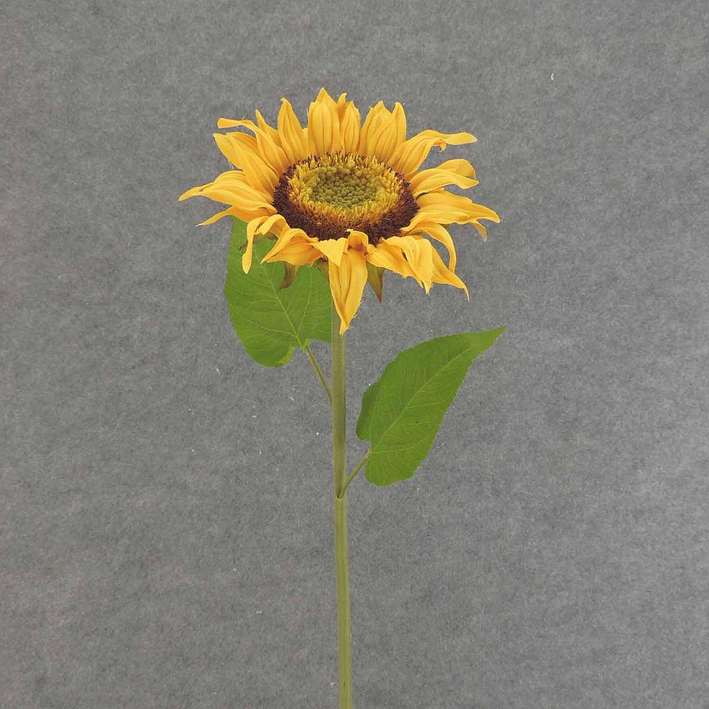 [SE6037] 30" SUNFLOWER SPRAY 8" BLOOM YELLOW