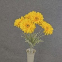 GERBERA DAISY BUSH X8 FLK/STEM 18" YELLOW