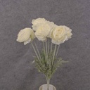 RANUNCULUS BUSH X8 FLK/STEM 18"  CREAM/WHITE