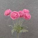 RANUNCULUS BUSH X8 FLK/STEM 18"  PINK