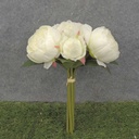 PEONY BUNDLE X7  11"  CREAM/WHITE