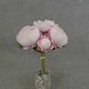 PEONY BUNDLE X7  11"  WHITE/BEAUTY