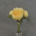 PEONY BUNDLE X7  11&quot;  YELLOW