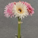 GERBERA BUNDLE X7  12"  PINK/BEAUTY/BEIGE