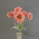 POPPY BUSH X8 FLOCKED/STEMS 19"  SALMON