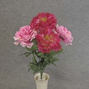 PEONY BUSH X6  18.5"  BEAUTY/PINK