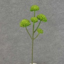 SUCCULENT SPRAY X6  17"  GREEN