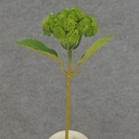 15" SEDUM STEM GREEN