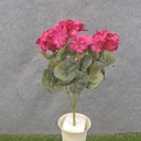 14.5" GERANIUM BUSH X7 BEAUTY