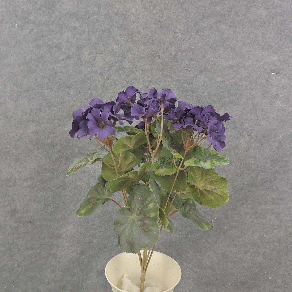 14.5" GERANIUM BUSH X7 PURPLE