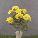 18" GERANIUM BUSH X9 YELLOW