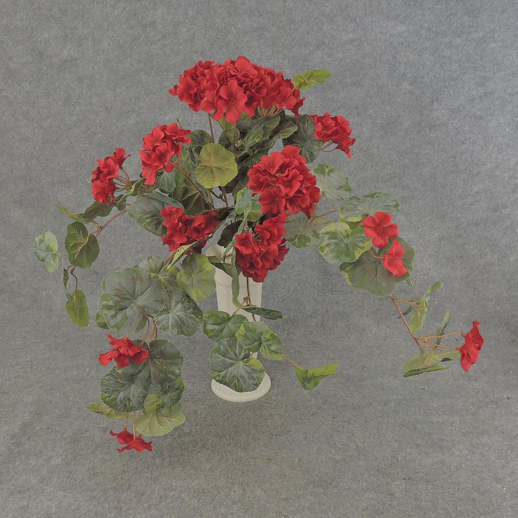 GERANIUM BUSH W/VINES 20x15"    X12 RED