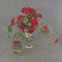 GERANIUM BUSH W/VINES 20x15"    X12 RED