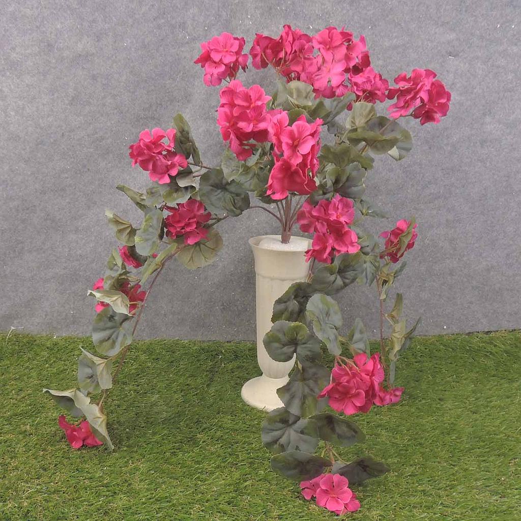 GERANIUM BUSH W/VINES 20x15" X12 BEAUTY