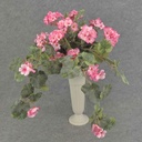 GERANIUM BUSH W/VINES 20x15"    X12 PINK