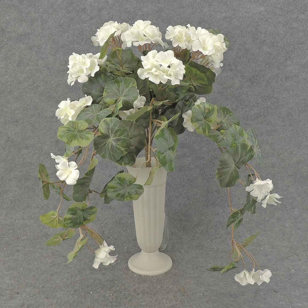 GERANIUM BUSH W/VINES 20x15"    X12 WHITE