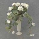 GERANIUM BUSH W/VINES 20x15"    X12 WHITE