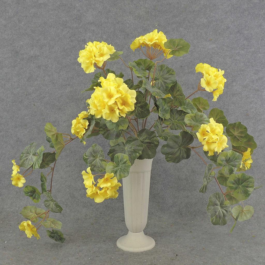 GERANIUM BUSH W/VINES 20x15"    X12 YELLOW