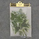 VARIGATED LEAF IVY  PICK 7.5"  (6/BAG)