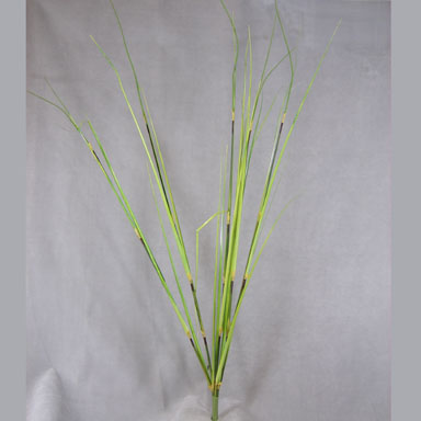 42.5" GRASS ONION SPRAY