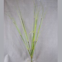 42.5" GRASS ONION SPRAY