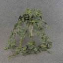 39" IVY ENGLISH HANGER 159 LVS FROSTED GREEN