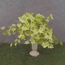 IVY ENGLISH BUSH VINE 146 LVS  LIGHT GREEN