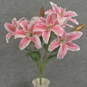 LILY BUSH X9 21" 8" dia  RUBRUM
