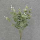 20" EUCALYPTUS BUSH X5