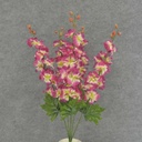 DELPHINIUM BUSH X5 23" W/BUDS  BEAUTY/CREAM