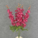DELPHINIUM BUSH X5 23" W/BUDS  BEAUTY