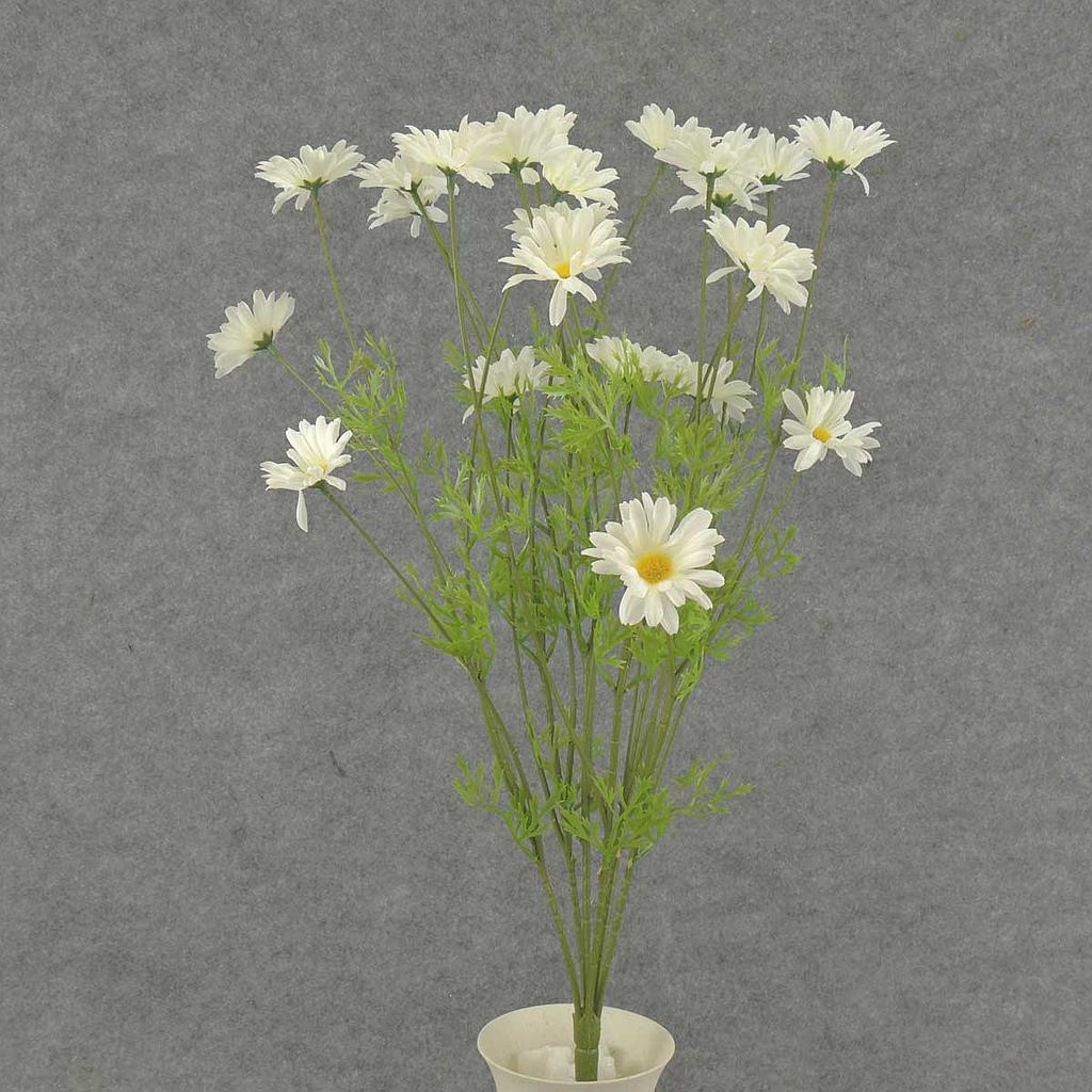22" DAISY BUSH X6 2.25" dia WHITE