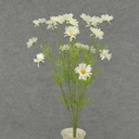 22" DAISY BUSH X6 2.25" dia WHITE